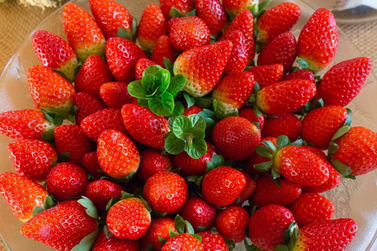 Agroturismo Son Vives Menorca - Adults Only Ferreries Exteriör bild